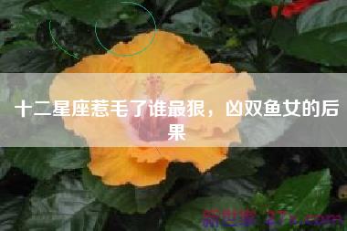 十二星座惹毛了谁最狠，凶双鱼女的后果