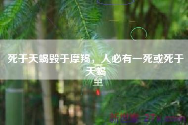 死于天蝎毁于摩羯，人必有一死或死于天蝎