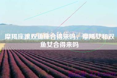 摩羯座跟双鱼座合得来吗，摩羯女和双鱼女合得来吗
