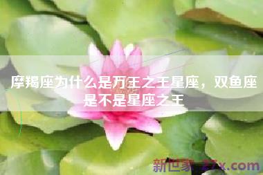 摩羯座为什么是万王之王星座，双鱼座是不是星座之王