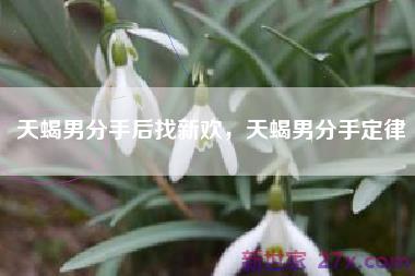 天蝎男分手后找新欢，天蝎男分手定律