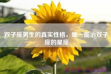 双子座男生的真实性格，唯一能治双子座的星座