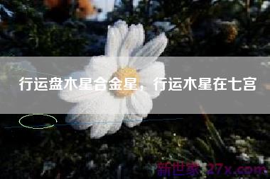 行运盘木星合金星，行运木星在七宫