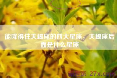 能降得住天蝎座的四大星座，天蝎座后面是什么星座