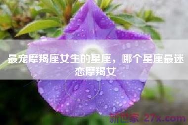 最宠摩羯座女生的星座，哪个星座最迷恋摩羯女