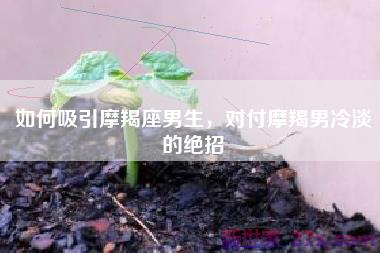 如何吸引摩羯座男生，对付摩羯男冷淡的绝招