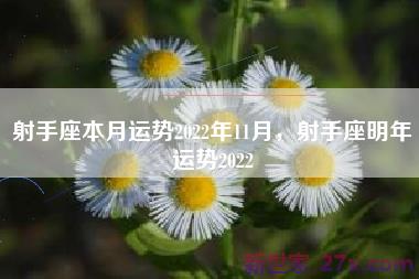 射手座本月运势2022年11月，射手座明年运势2022