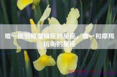 唯一能毁掉魔蝎座的星座，唯一和摩羯抗衡的星座
