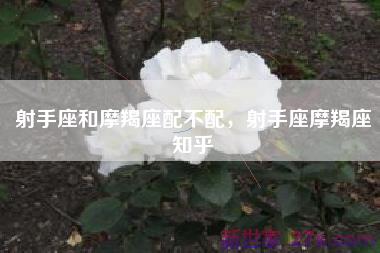 射手座和摩羯座配不配，射手座摩羯座知乎
