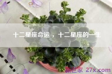 十二星座命运 ，十二星座的一生