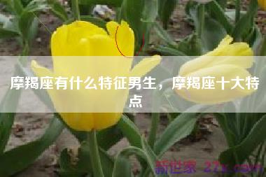 摩羯座有什么特征男生，摩羯座十大特点