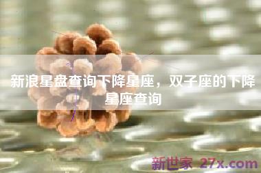 新浪星盘查询下降星座，双子座的下降星座查询