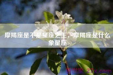 摩羯座是不是星座之王，摩羯座是什么象星座