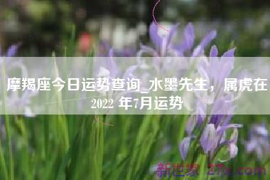 摩羯座今日运势查询_水墨先生，属虎在2022 年7月运势