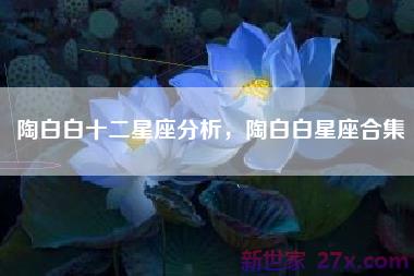 陶白白十二星座分析，陶白白星座合集