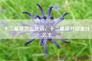 十二星座怎么分别，十二星座分别是什么王