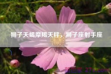 狮子天蝎摩羯天秤，狮子座射手座