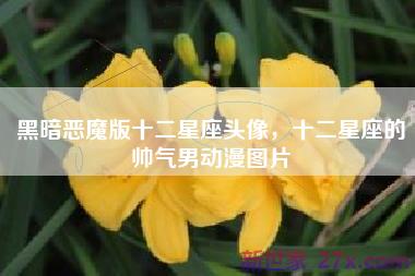 黑暗恶魔版十二星座头像，十二星座的帅气男动漫图片
