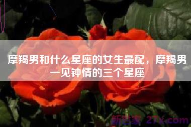 摩羯男和什么星座的女生最配，摩羯男一见钟情的三个星座