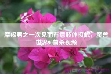 摩羯男之一次见面有意肢体接触，魔兽世界90首杀视频