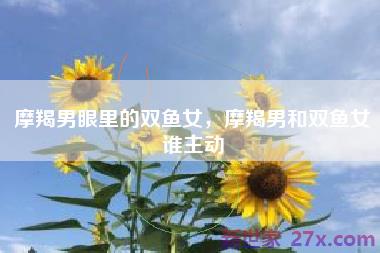 摩羯男眼里的双鱼女，摩羯男和双鱼女谁主动