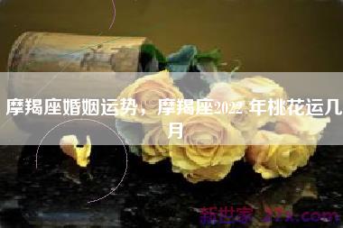 摩羯座婚姻运势，摩羯座2022 年桃花运几月