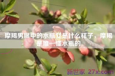 摩羯男眼中的水瓶女是什么样子，摩羯是唯一懂水瓶的
