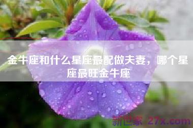 金牛座和什么星座最配做夫妻，哪个星座最旺金牛座