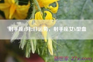 射手座1月2日运势，射手座女b型血