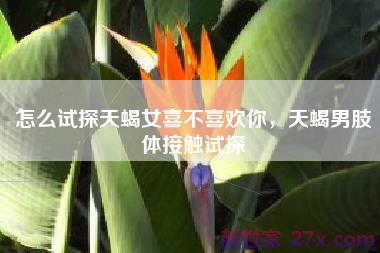 怎么试探天蝎女喜不喜欢你，天蝎男肢体接触试探