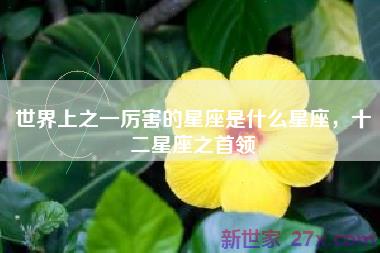 世界上之一厉害的星座是什么星座，十二星座之首领