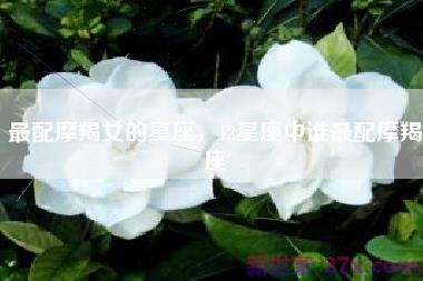 最配摩羯女的星座，12星座中谁最配摩羯座