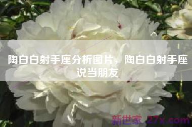陶白白射手座分析图片，陶白白射手座说当朋友