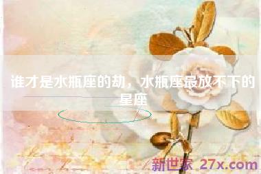 谁才是水瓶座的劫，水瓶座最放不下的星座