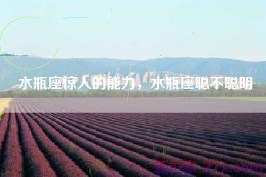 水瓶座惊人的能力，水瓶座聪不聪明