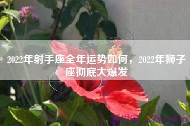 2022年射手座全年运势如何，2022年狮子座彻底大爆发