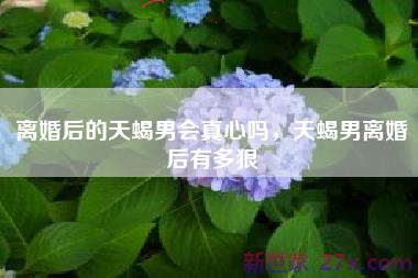 离婚后的天蝎男会真心吗，天蝎男离婚后有多狠
