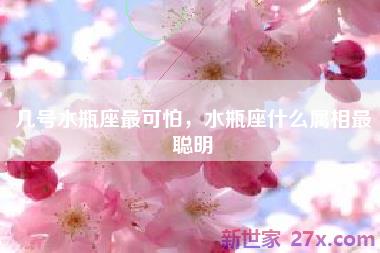 几号水瓶座最可怕，水瓶座什么属相最聪明