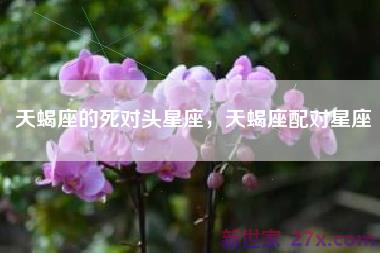 天蝎座的死对头星座，天蝎座配对星座