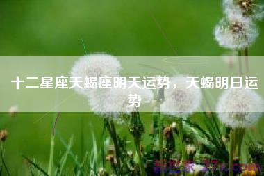十二星座天蝎座明天运势，天蝎明日运势