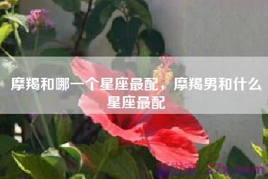 摩羯和哪一个星座最配，摩羯男和什么星座最配