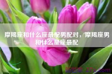 摩羯座和什么座最配男配对，摩羯座男和什么星座最配