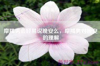 摩羯男会轻易说晚安么，摩羯男对晚安的理解