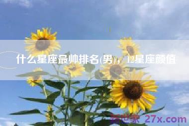 什么星座最帅排名(男)，12星座颜值