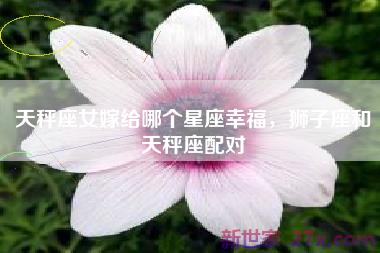 天秤座女嫁给哪个星座幸福，狮子座和天秤座配对