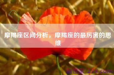 摩羯座区间分析，摩羯座的最厉害的思维