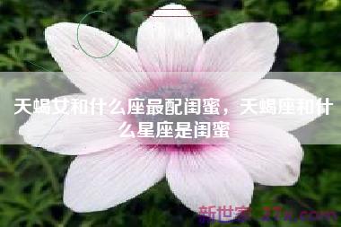天蝎女和什么座最配闺蜜，天蝎座和什么星座是闺蜜