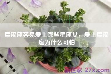 摩羯座容易爱上哪些星座女，爱上摩羯座为什么可怕