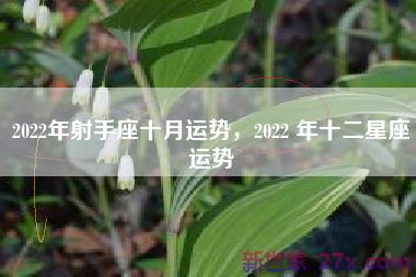 2022年射手座十月运势，2022 年十二星座运势