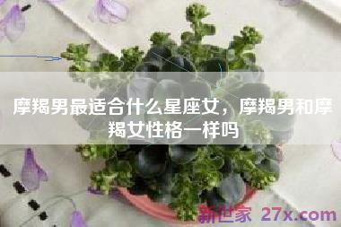 摩羯男最适合什么星座女，摩羯男和摩羯女性格一样吗